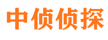 城北市私家侦探